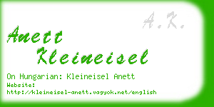 anett kleineisel business card